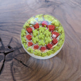 clover murano glass paperweight clover murano glass paperweight